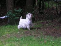 Klik op de foto voor groter formaat